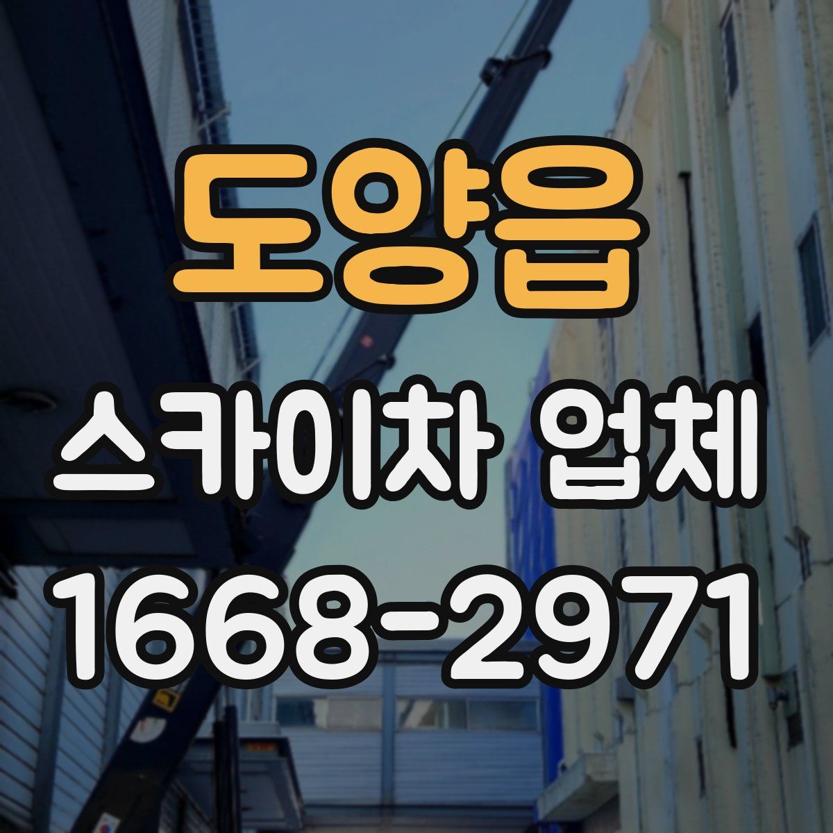 도양읍 스카이차 업체