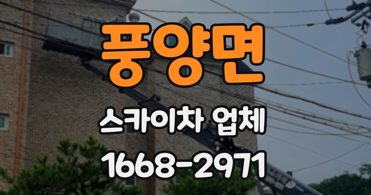 풍양면 스카이차 업체