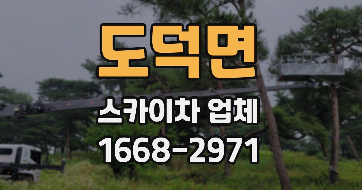 도덕면 스카이차 업체