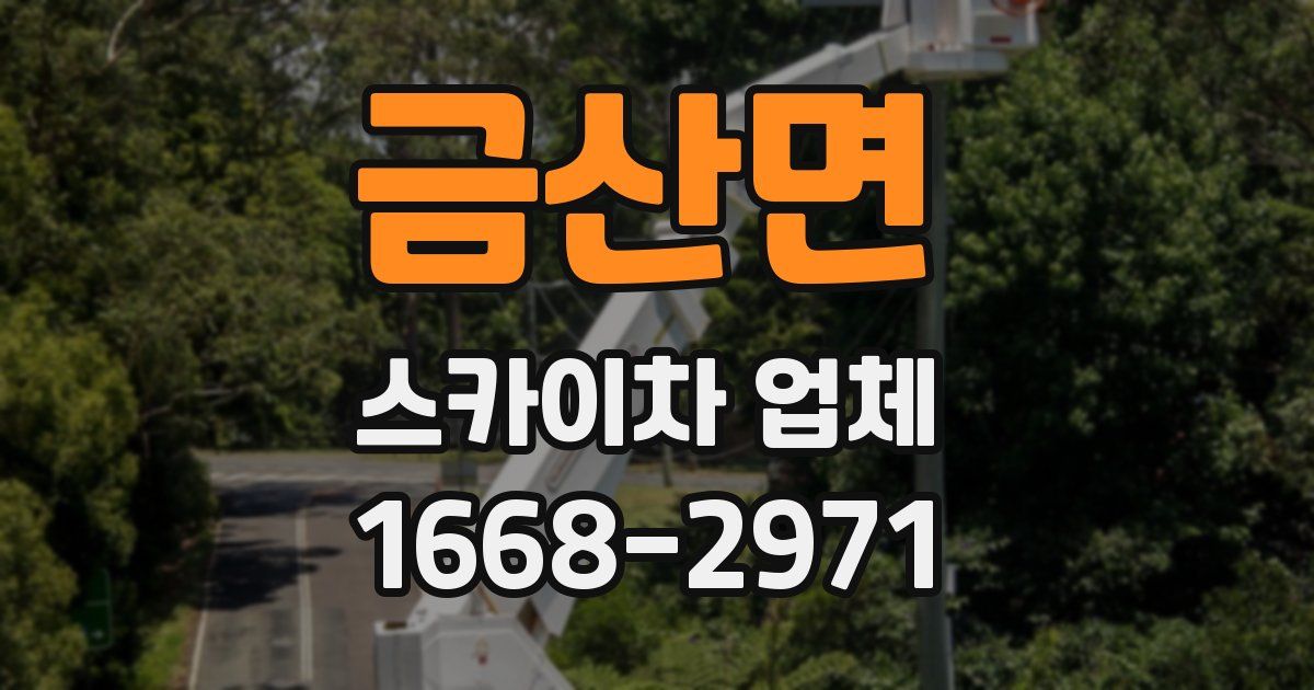 금산면 스카이차 업체