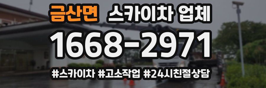 금산면 스카이차 업체