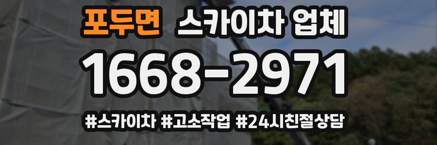 포두면 스카이차 업체