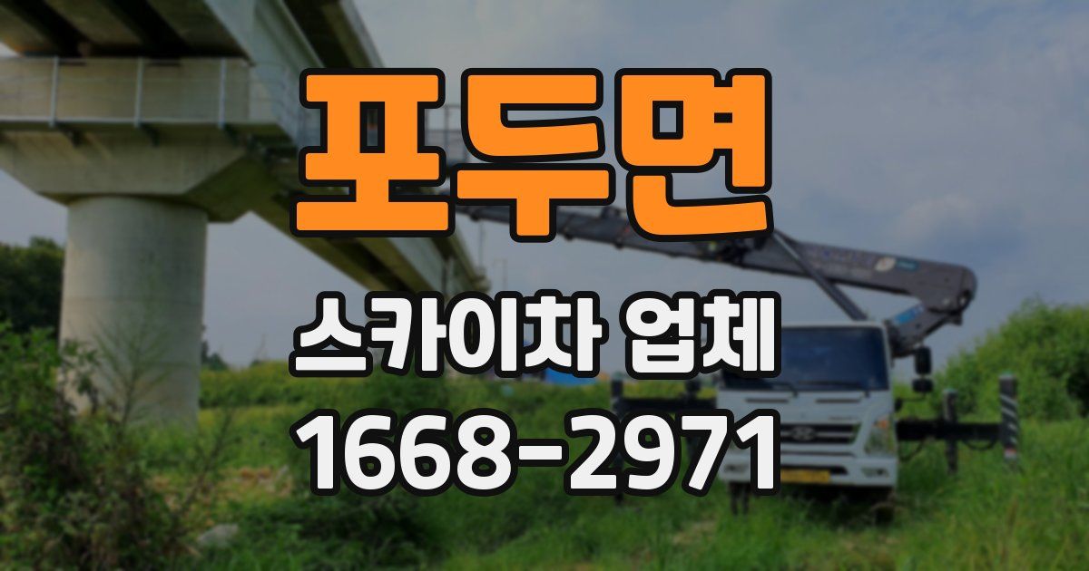 포두면 스카이차 업체