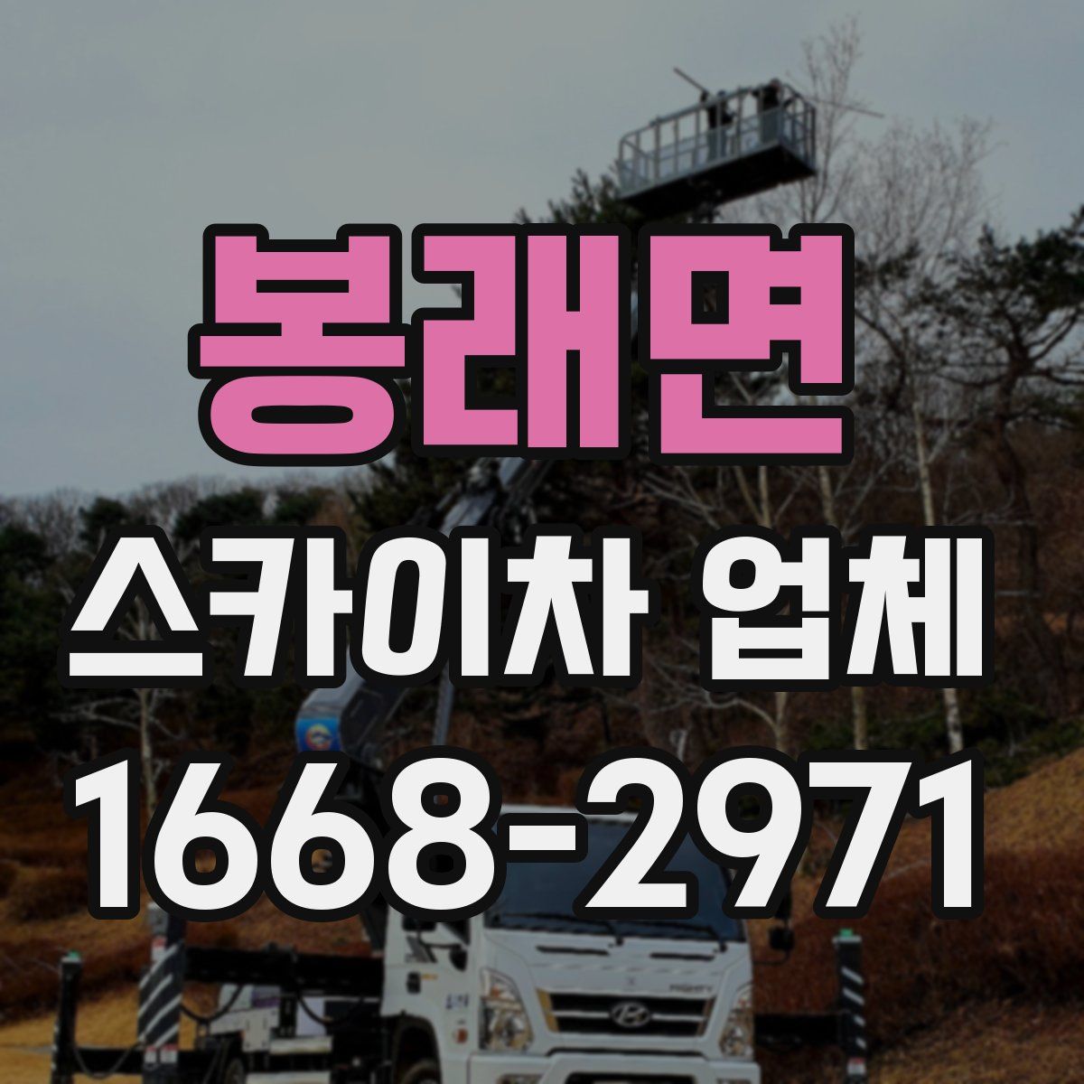 봉래면 스카이차 업체