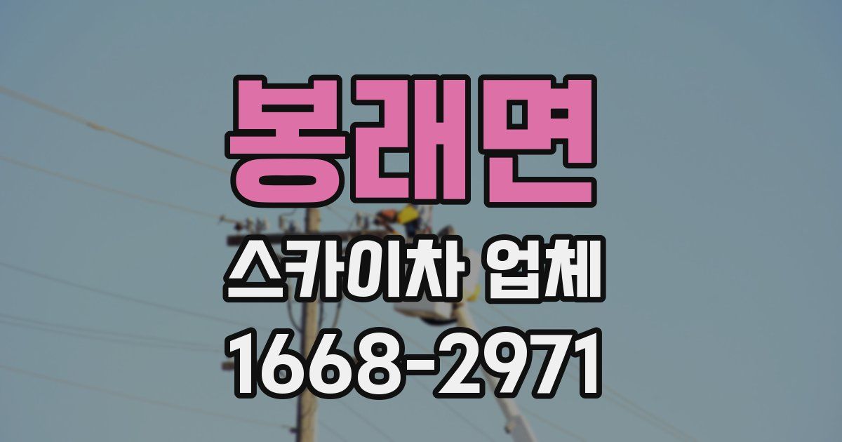 봉래면 스카이차 업체