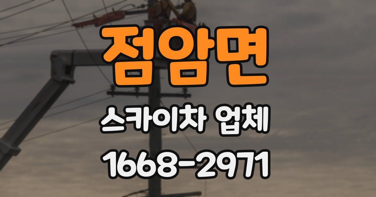 점암면 스카이차 업체