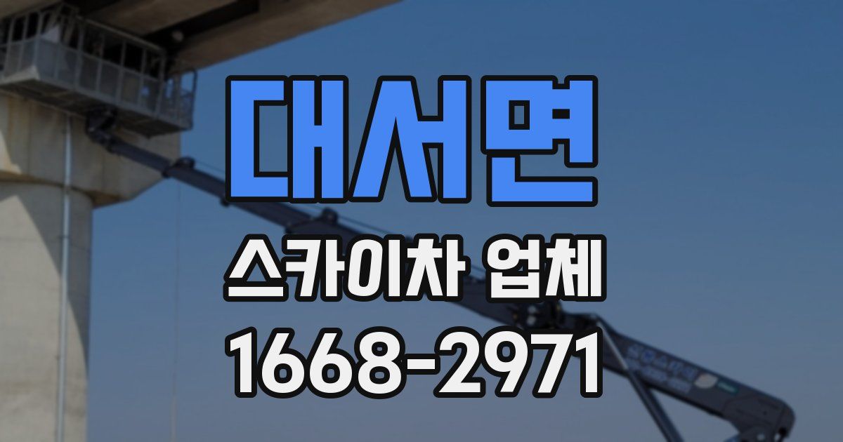 대서면 스카이차 업체