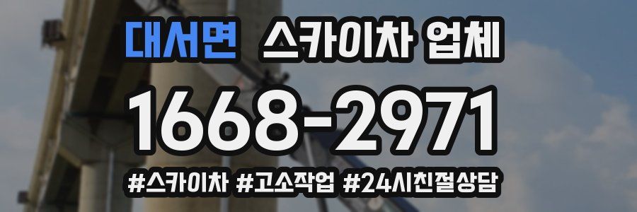 대서면 스카이차 업체
