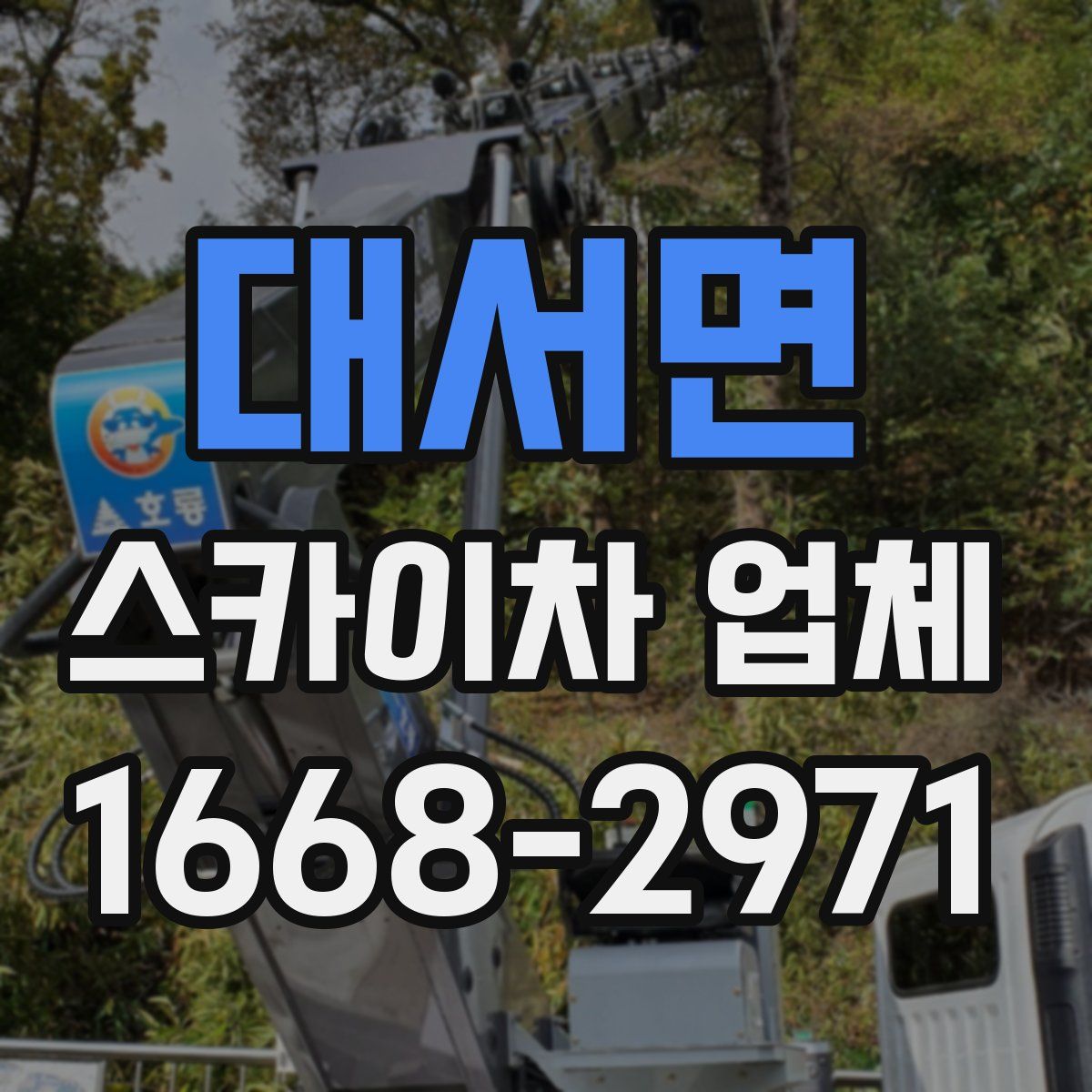 대서면 스카이차 업체