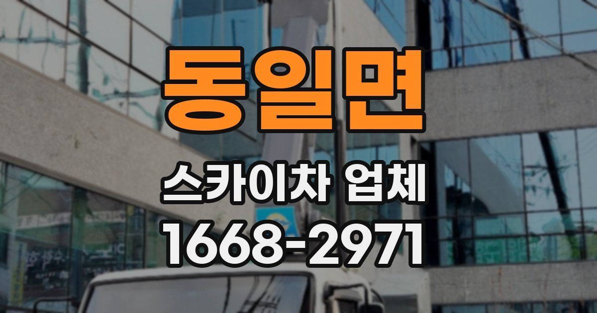 동일면 스카이차 업체