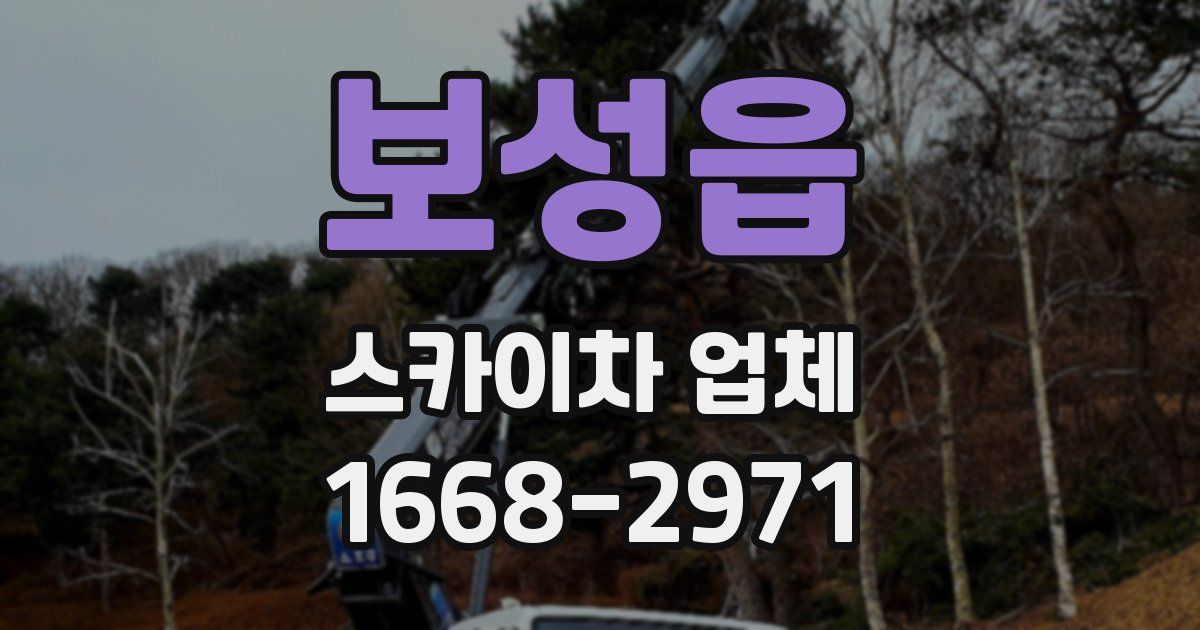 보성읍 스카이차 업체