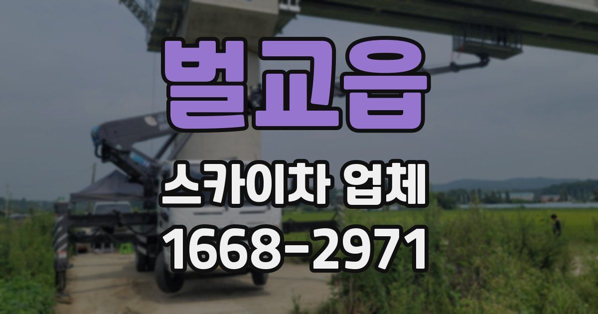 벌교읍 스카이차 업체