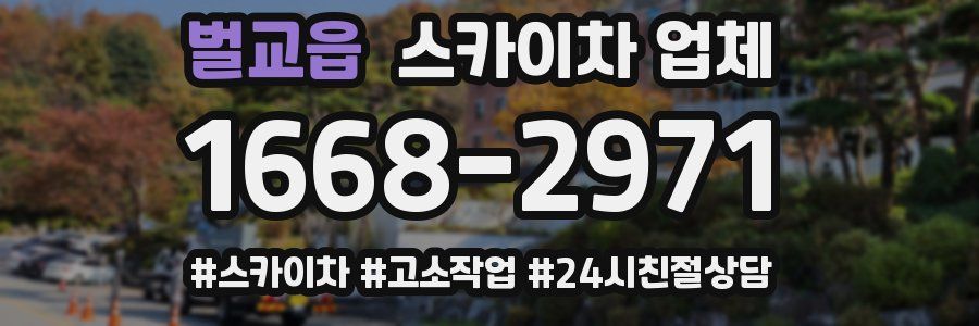 벌교읍 스카이차 업체
