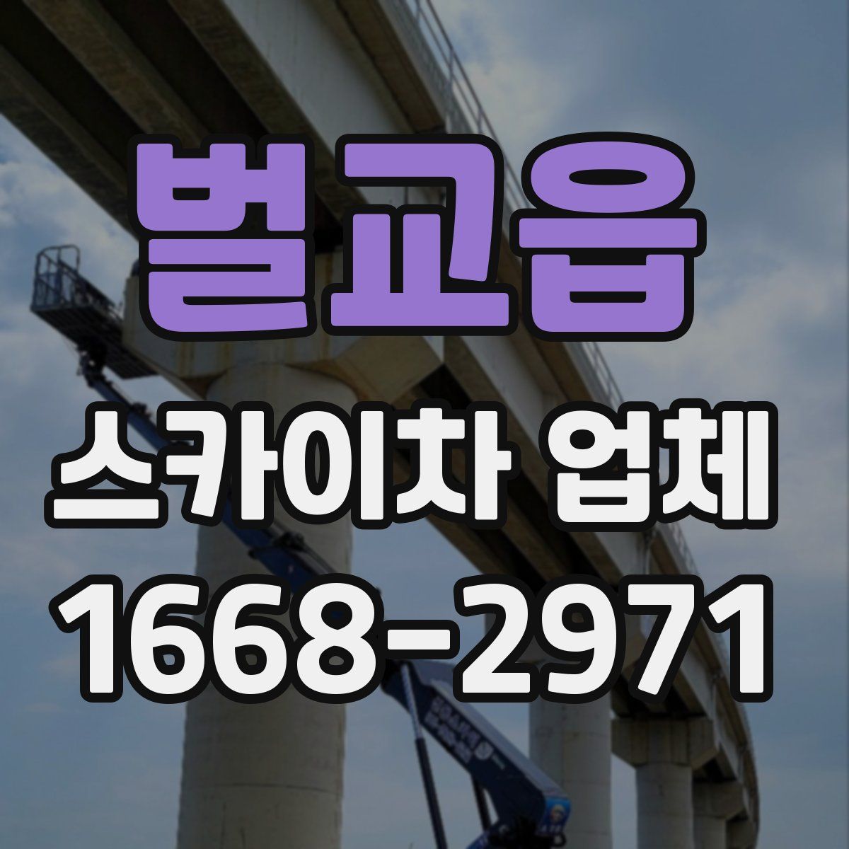 벌교읍 스카이차 업체