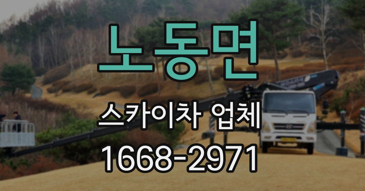 노동면 스카이차 업체