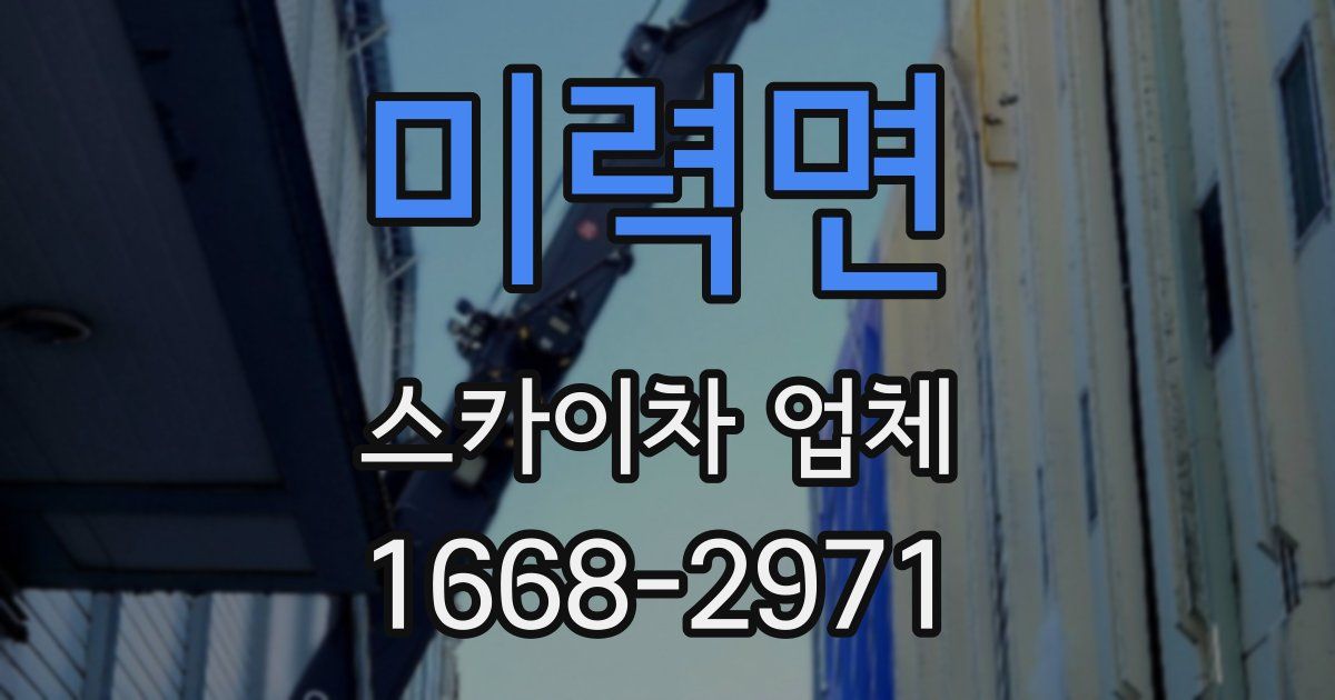 미력면 스카이차 업체