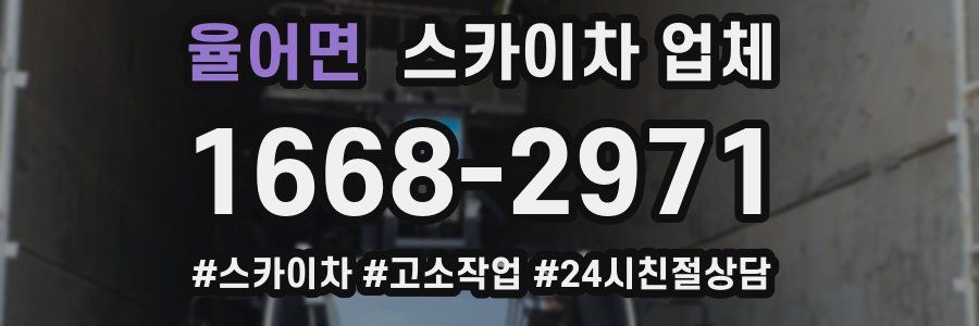 율어면 스카이차 업체