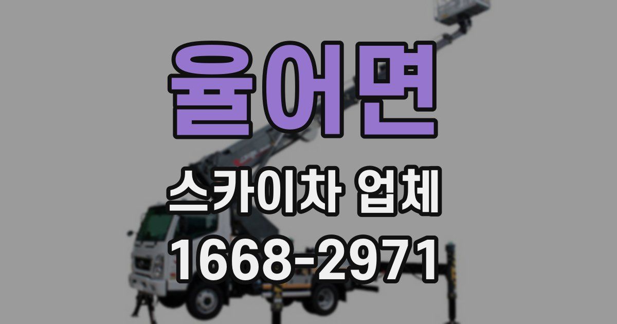 율어면 스카이차 업체