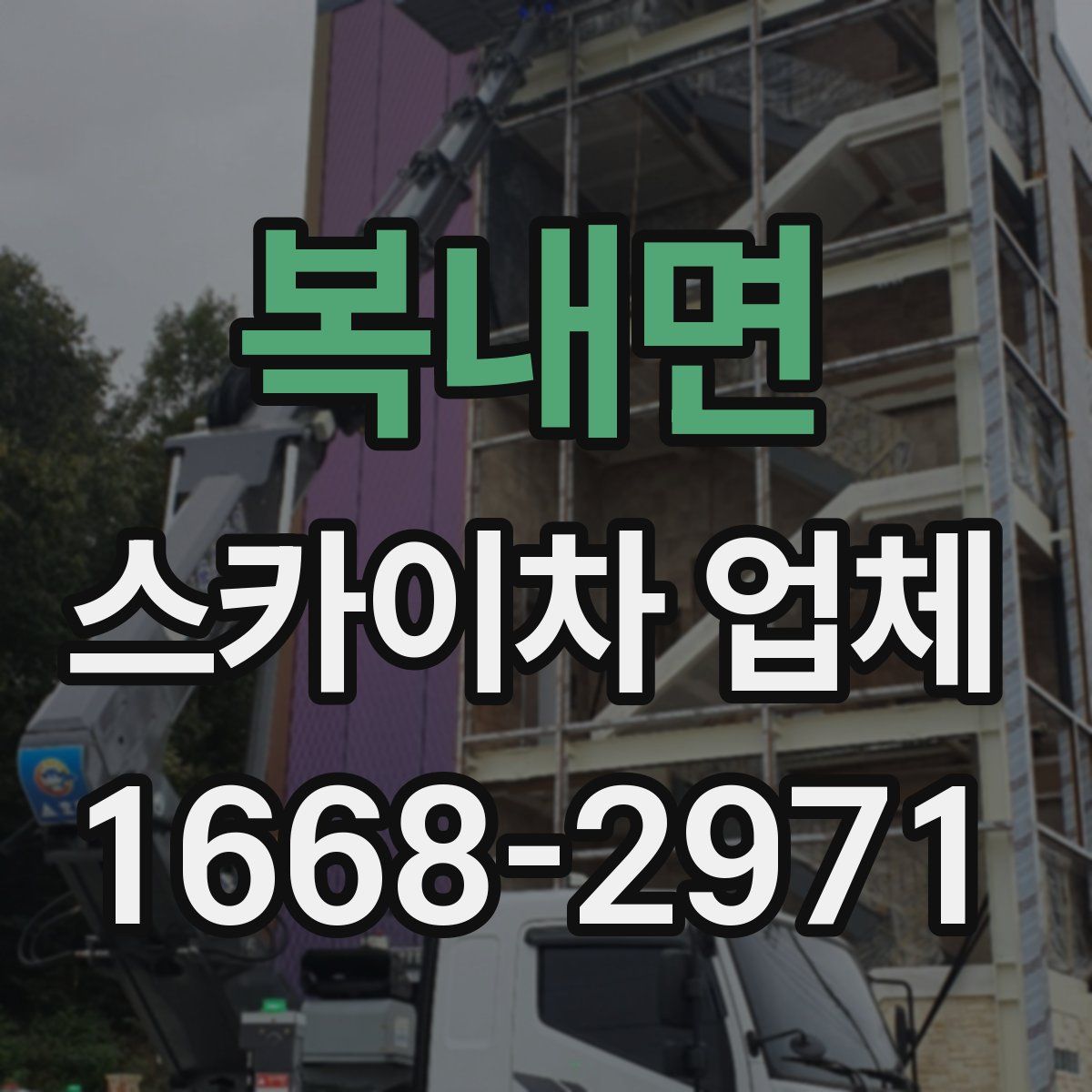 복내면 스카이차 업체