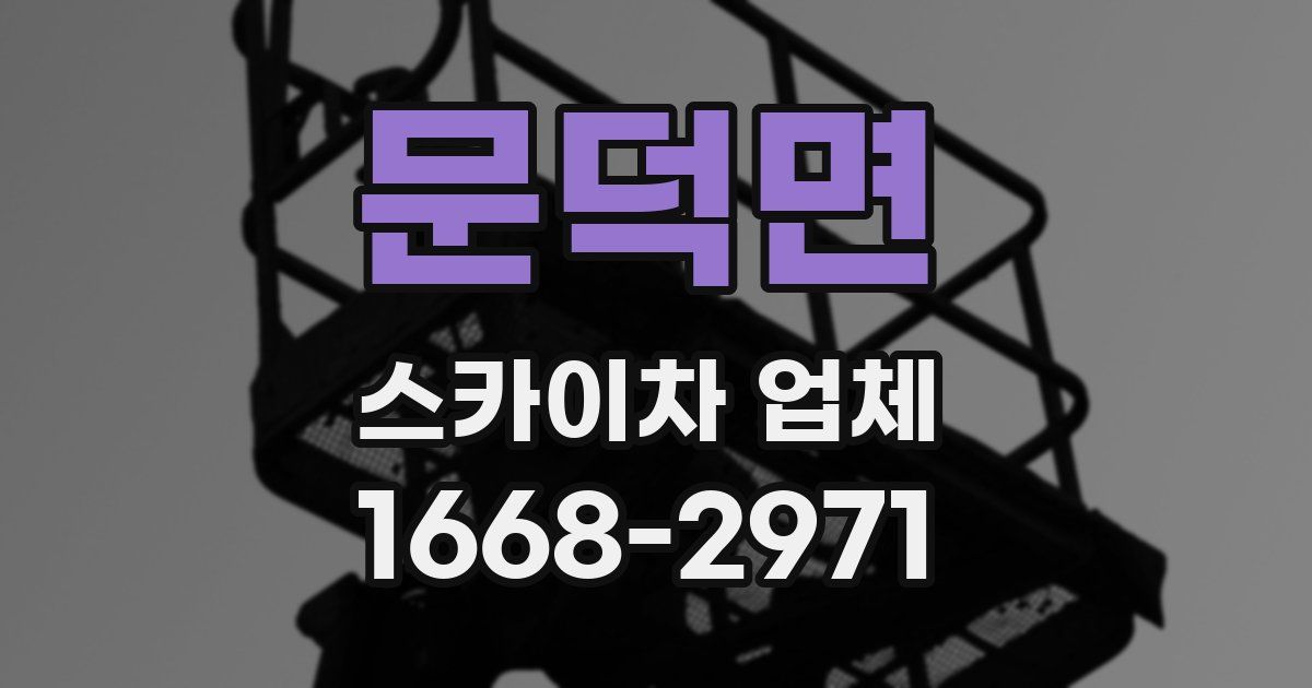 문덕면 스카이차 업체