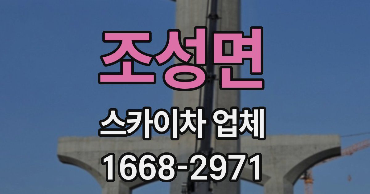조성면 스카이차 업체