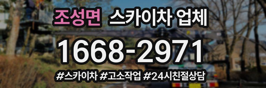 조성면 스카이차 업체