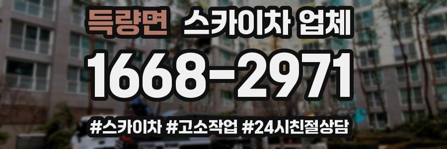 득량면 스카이차 업체