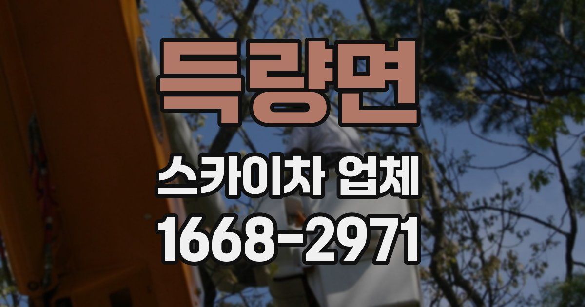 득량면 스카이차 업체