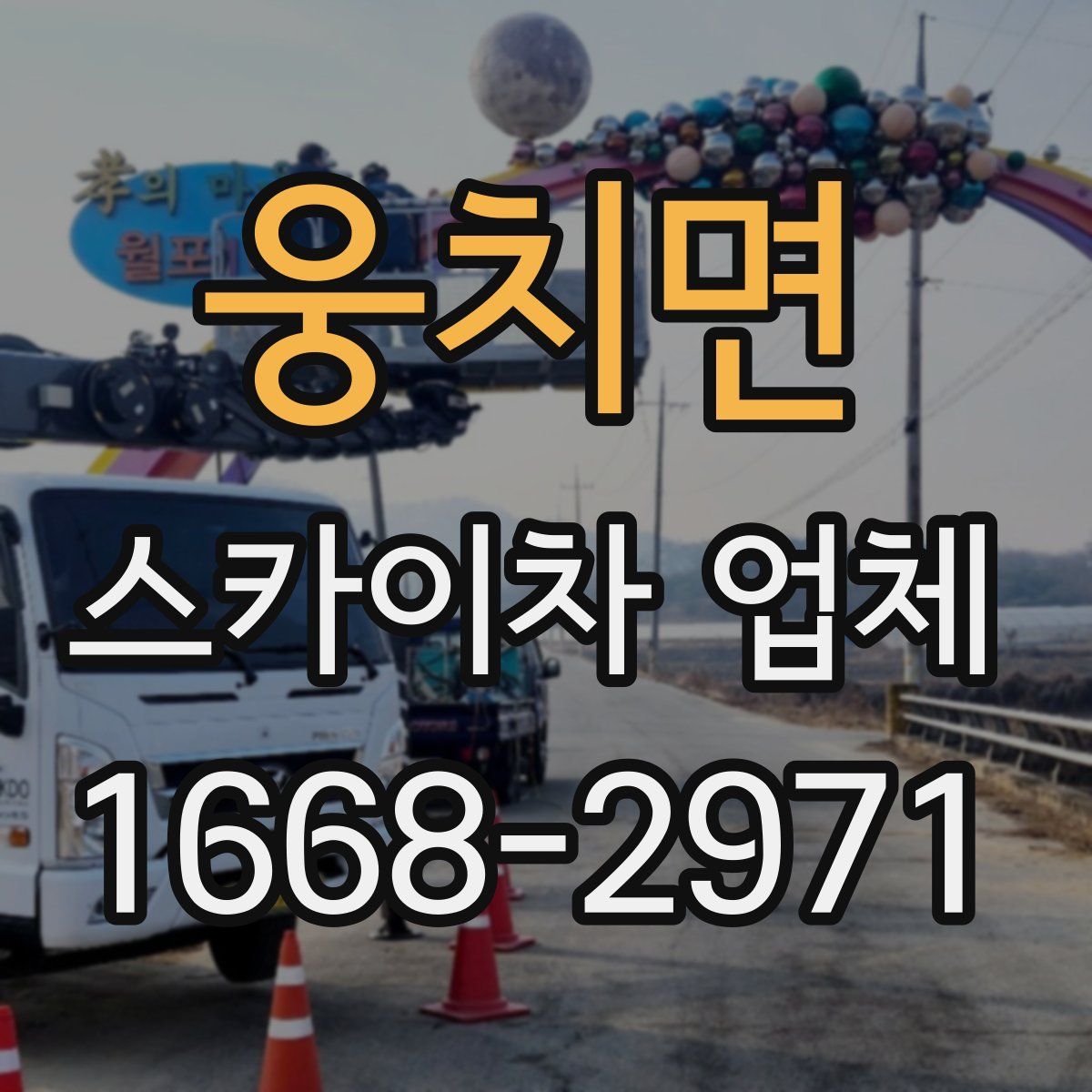 웅치면 스카이차 업체