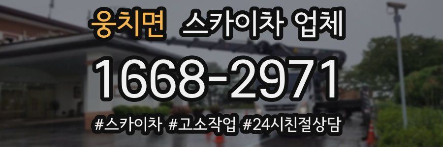 웅치면 스카이차 업체