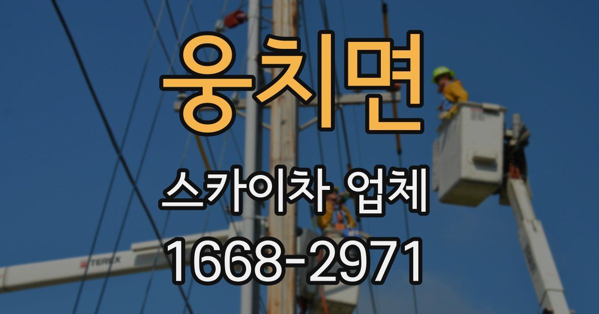 웅치면 스카이차 업체