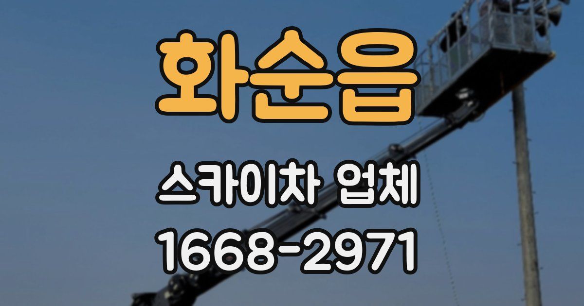 화순읍 스카이차 업체
