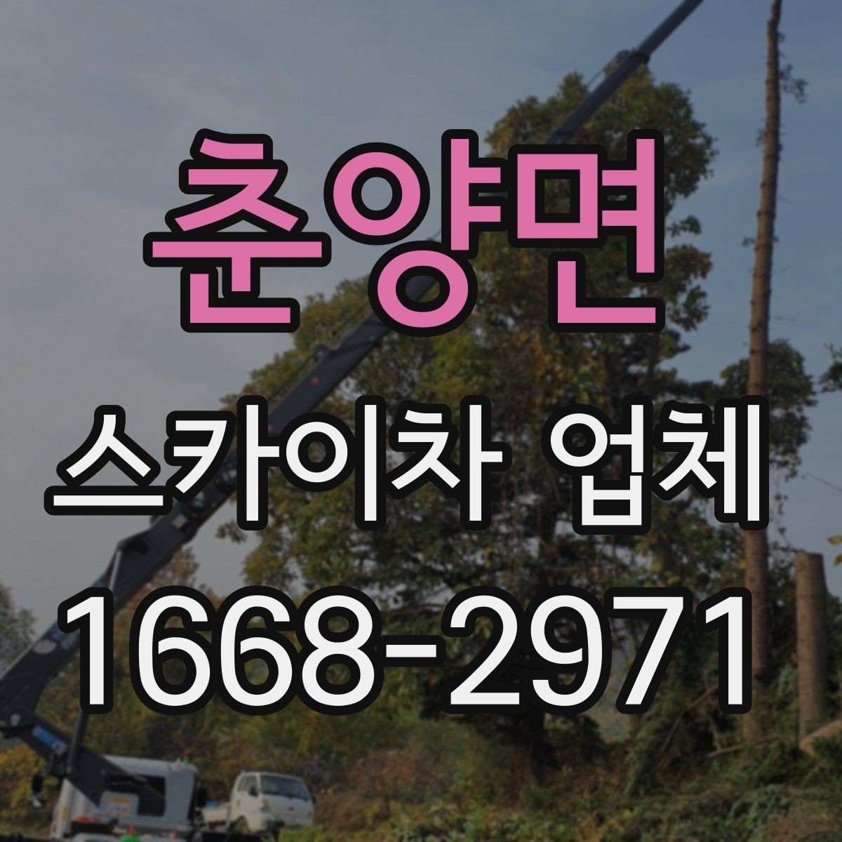 춘양면 스카이차 업체 선택 시 후기보다 먼저 볼 점