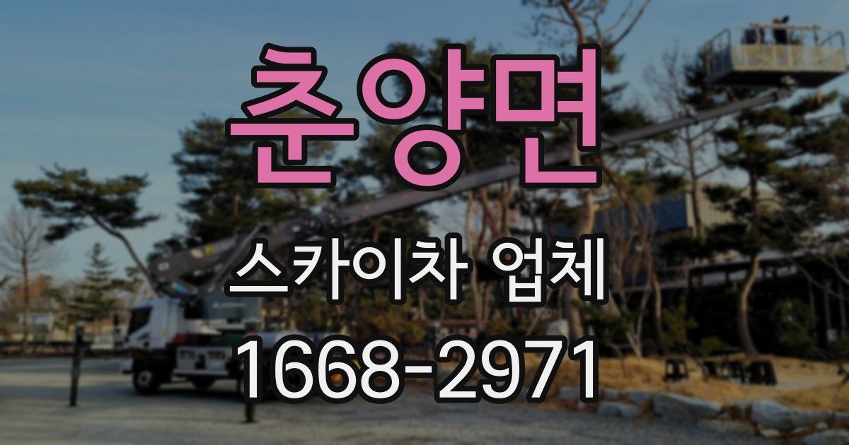 춘양면 스카이차 업체