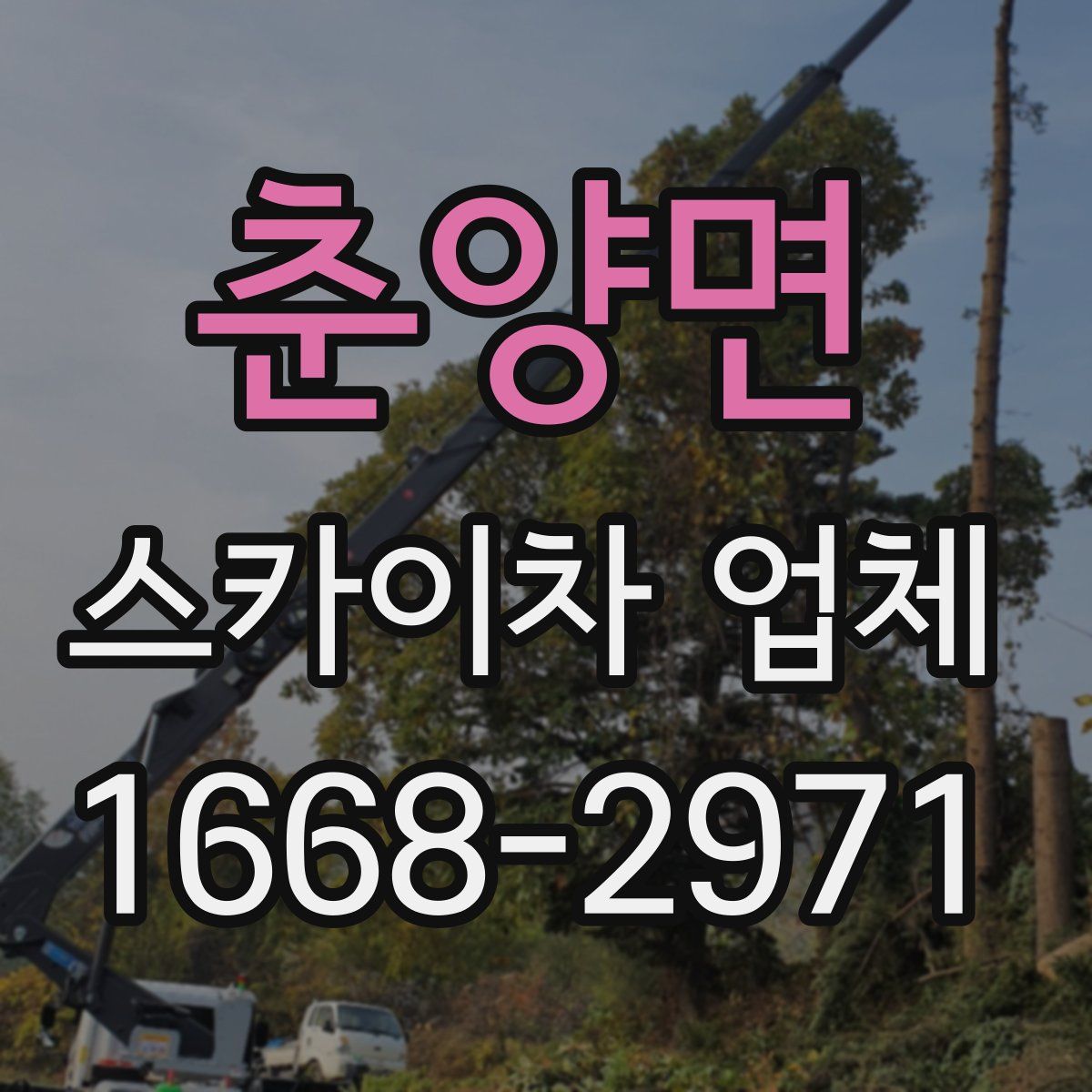춘양면 스카이차 업체