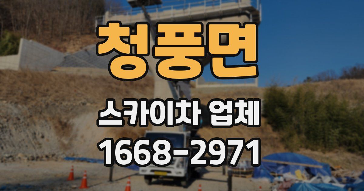 청풍면 스카이차 업체