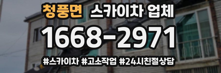 청풍면 스카이차 업체