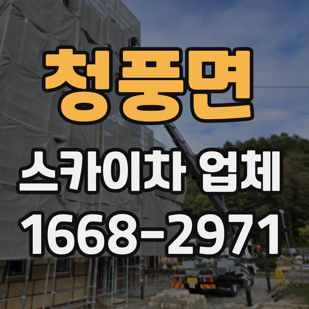 청풍면 스카이차 업체