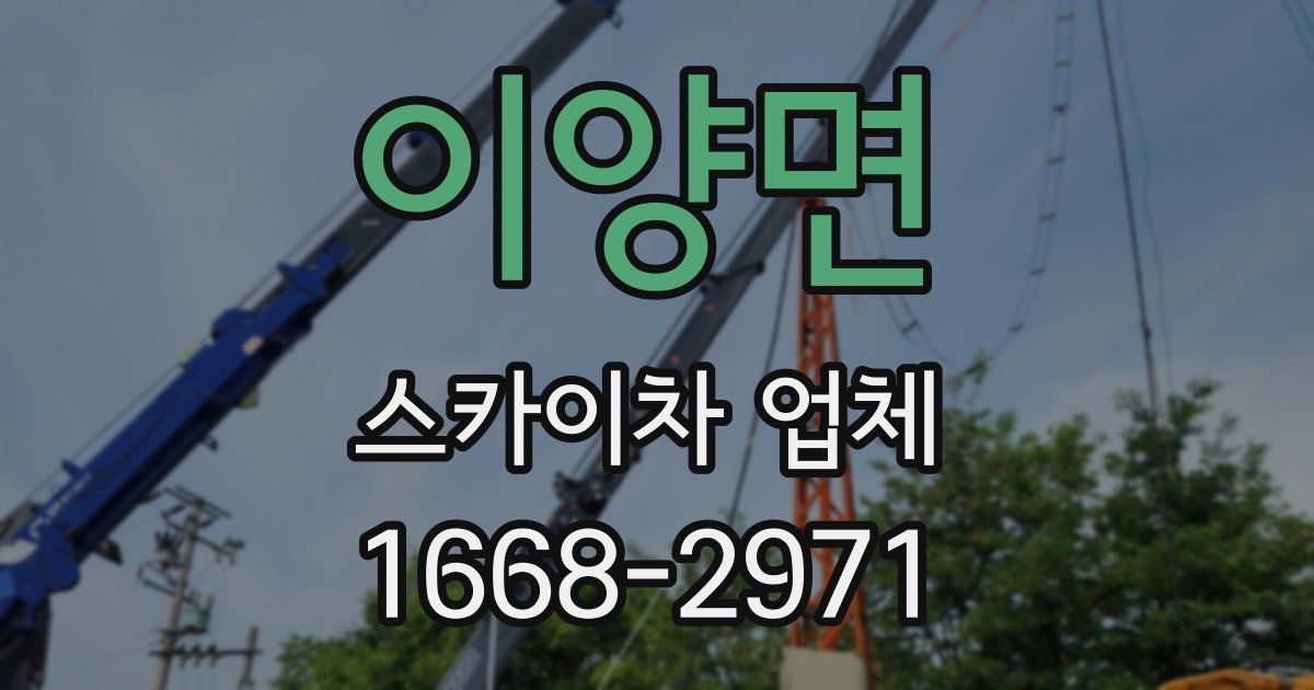 이양면 스카이차 업체