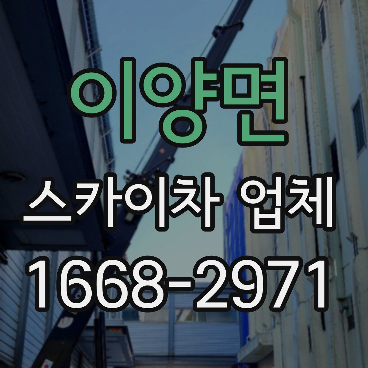 이양면 스카이차 업체