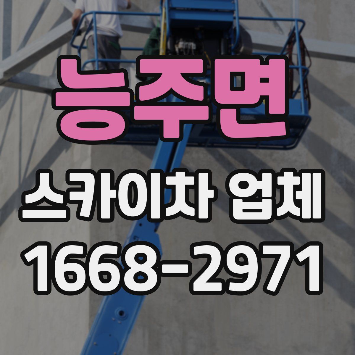 능주면 스카이차 업체