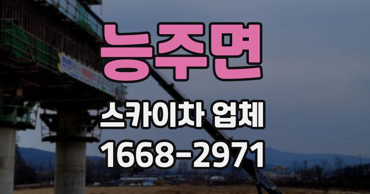 능주면 스카이차 업체