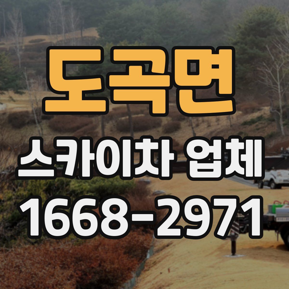 도곡면 스카이차 업체