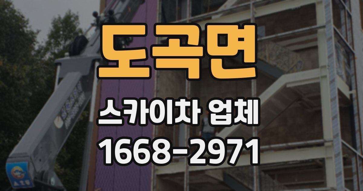 도곡면 스카이차 업체
