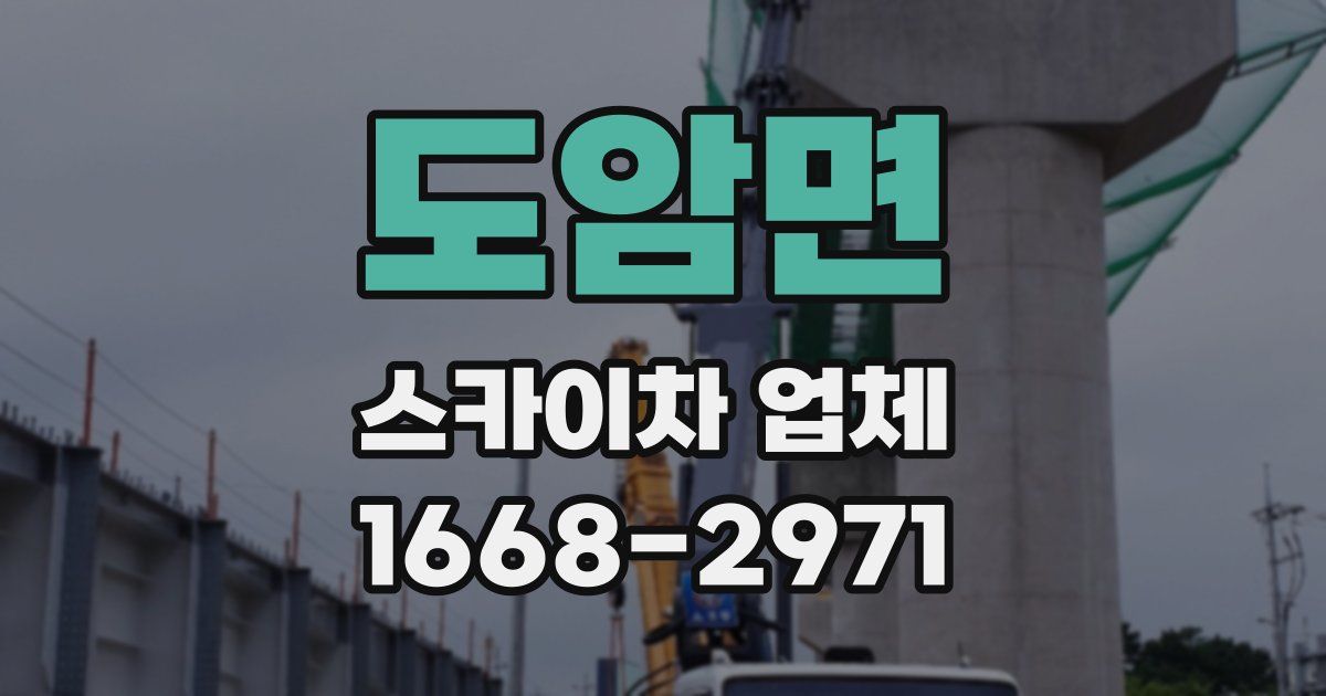 도암면 스카이차 업체