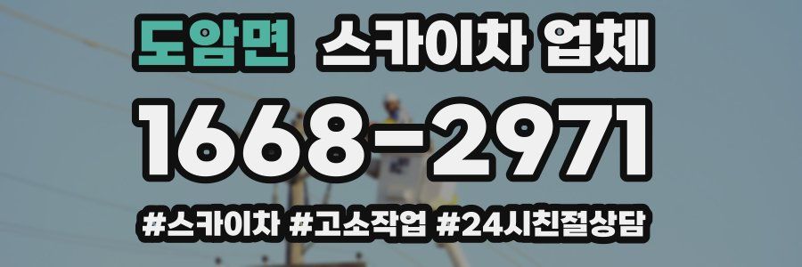 도암면 스카이차 업체