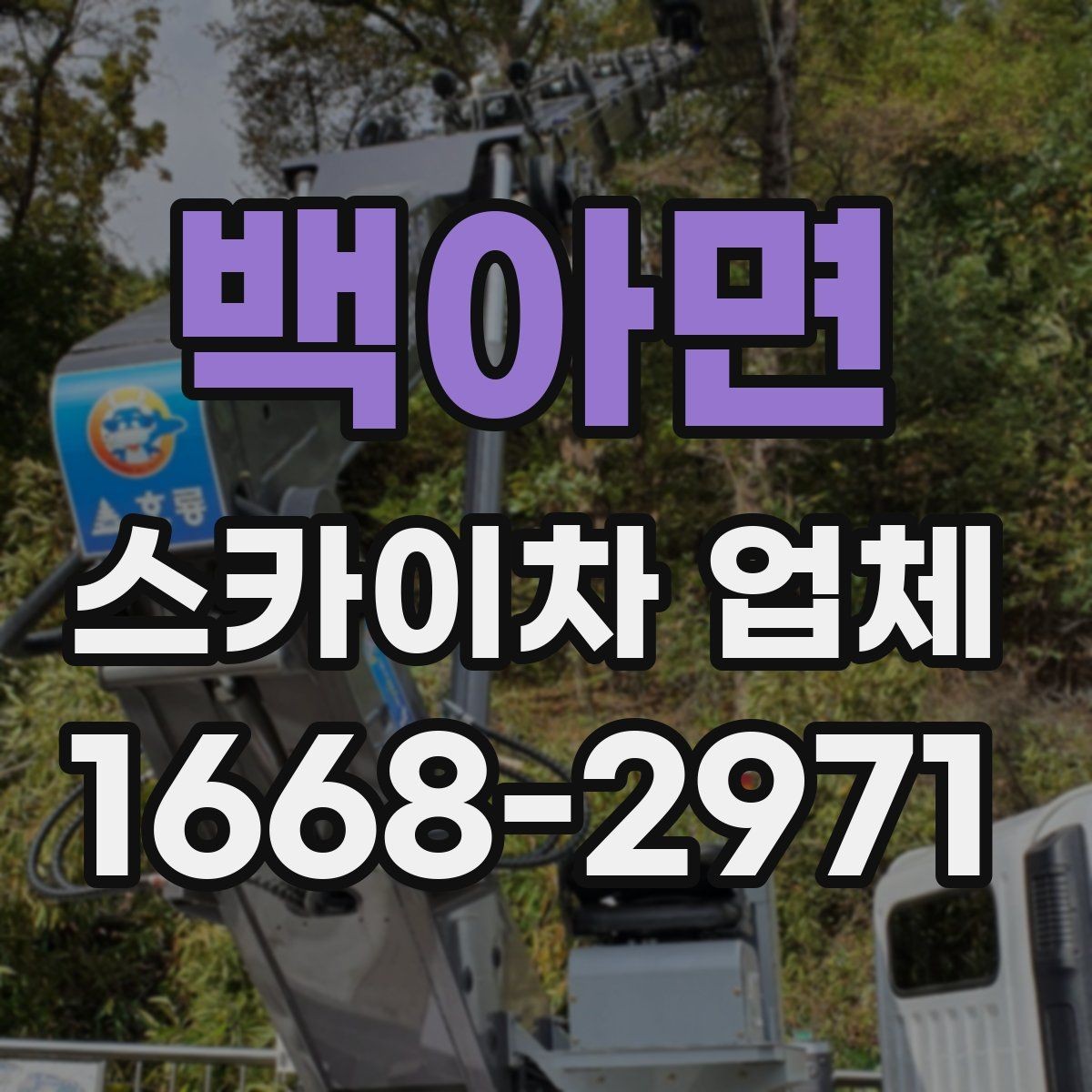 백아면 스카이차 업체 이용 절차를 간단히 정리