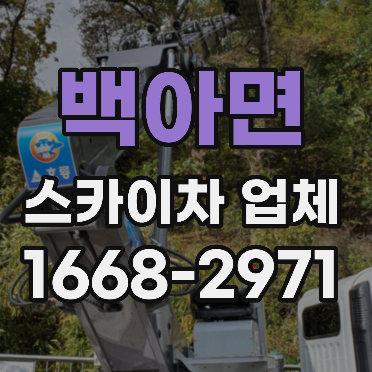 백아면 스카이차 업체