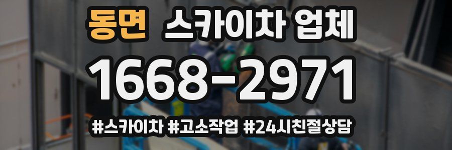 동면 스카이차 업체