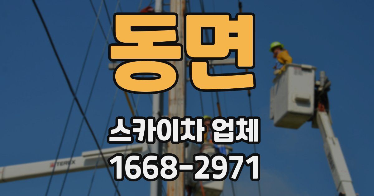 동면 스카이차 업체